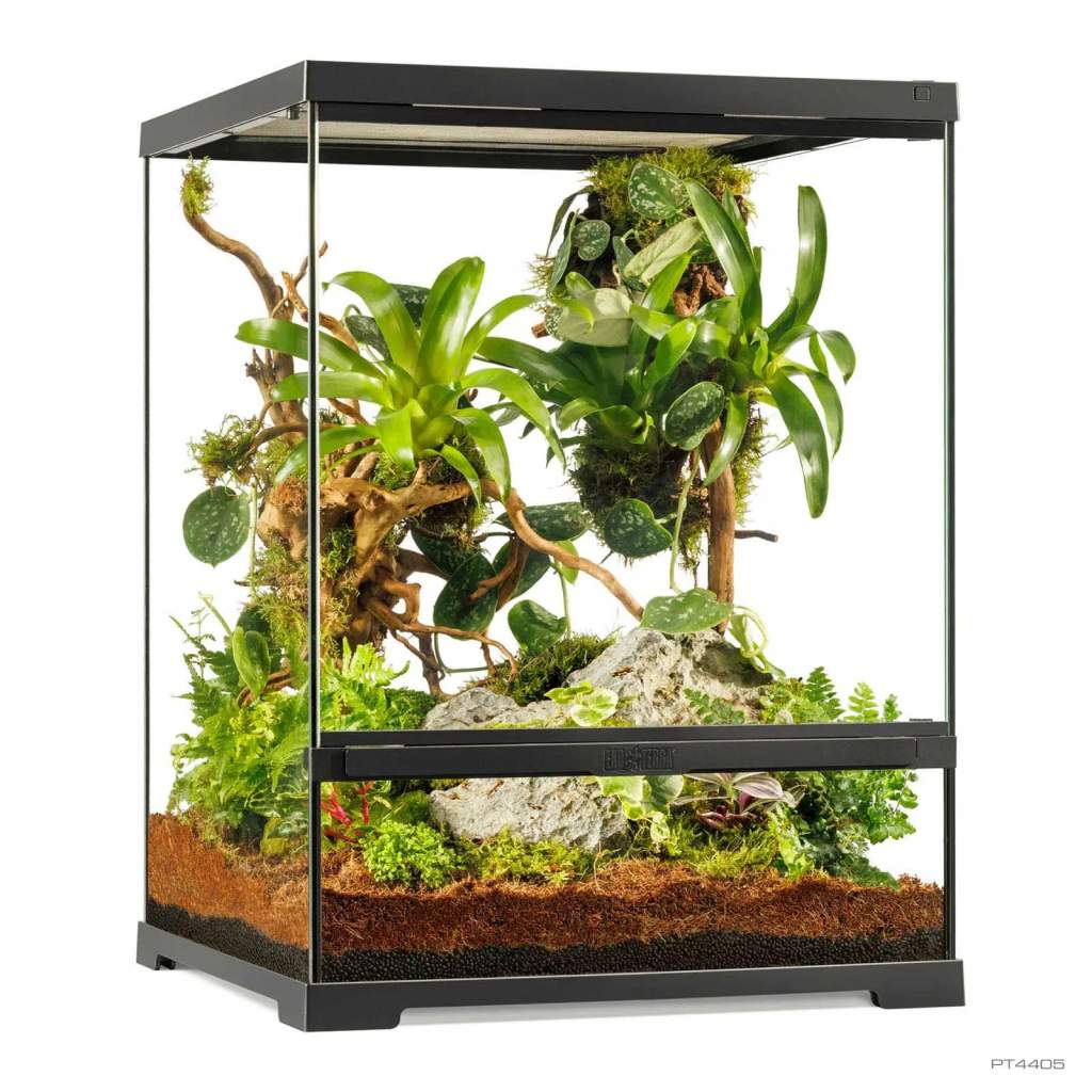 Pro Terrarium